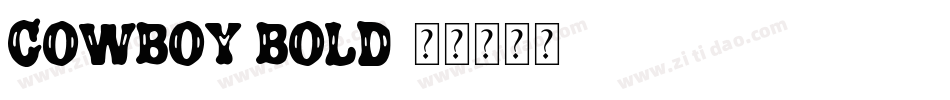 Cowboy Bold字体转换
